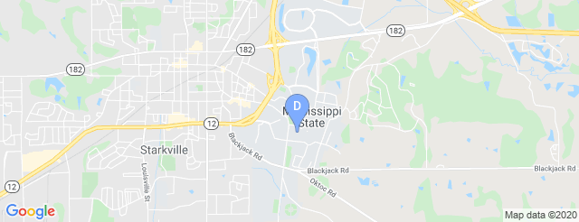 Davis Wade Stadium At Scott Field